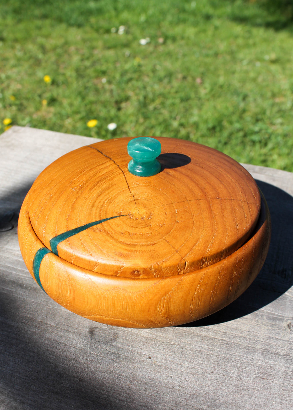 Ciotola - Cipresso e Resina Verde